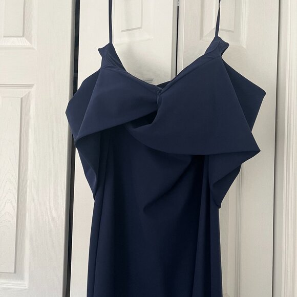 Chiara Boni Gown - Mother of the Bride / Mother of the Groom / Black Tie Wedding - Picture 9 of 9